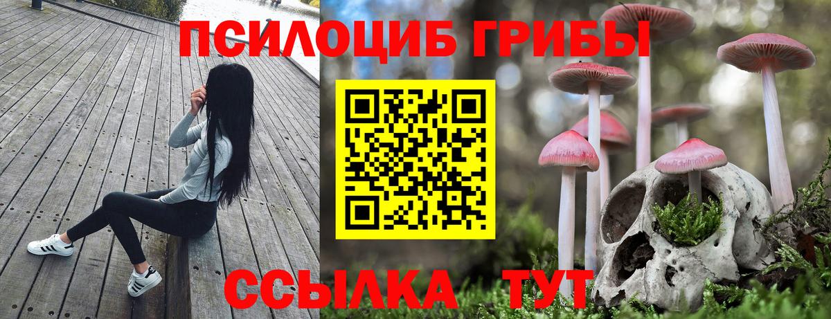 Псилоцибиновые грибы GOLDEN TEACHER Ленинск-Кузнецкий