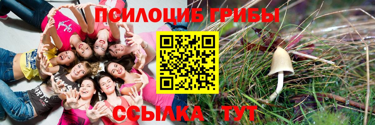 Ленинск-Кузнецкий  Галлюциногенные грибы Magic Shrooms  Вход с VPN  хочу наркоту  Псилоцибиновые грибы ЛСД 